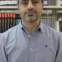 AliDayı