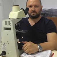 tamerimamoglu