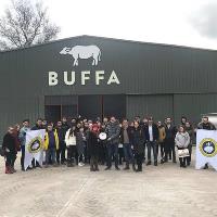 Buffa