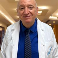 leventdülgar