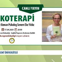 psikoterapi