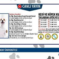 kedi-ve-kopek-kulubesi-tasarim-atolyesi
