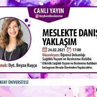 meslekte-danisana-yaklasim