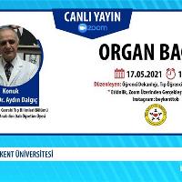 organ-bagisi