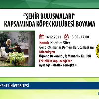 sehir-bulusmalari-kapsaminda-kopek-kulubesi-boyama