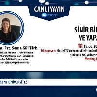 sinir-bilimleri-ve-yapay-zeka