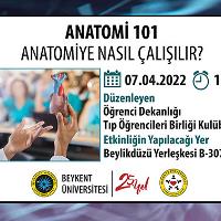 anatomi-101