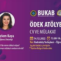 odek-atolye-cv-ve-mulakat