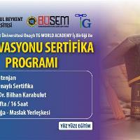 is-inovasyonu-sertifika-programi