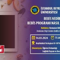 bebis-nedir