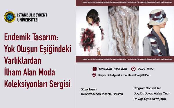 Endemik Tasar─▒m─▒ Afis╠ğ Tasar─▒m─▒_C╠ğal─▒s╠ğma Yu╠êzeyi 1 kopya 2