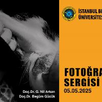 FotogårafGalerisiBoyut_CğalsğmaYuêzeyi1kopya2