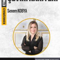 ÇeviriKariyeri