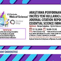 arastirma-performansi-incites