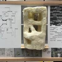 sergi-8