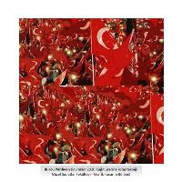 BurcuPehlivan3Bayraklar2020Kağıtüzerinekolajtekniği40x40cmGSFGrafikTasarımBölümü