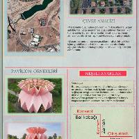 17-buse-capkin