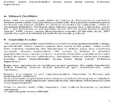 gamze-kaymak-heinz-11-5