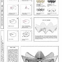 andree-sonad-kartal-04