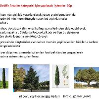 nilay-evcil-25