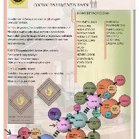 798-ts2-elanur-aldatmaz-page-03