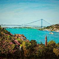 17EmreTandırlıErguvanlarveKöprü2014tuvalüzyağlıboya60x80cmÖzelKoleksiyonİstanbul