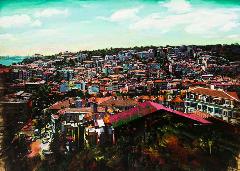 19 Emre Tandırlı, Altın Yaz 2, 2014, tuval üz. yağlıboya, 90x120 cm, Özel Koleksiyon, İstanbul