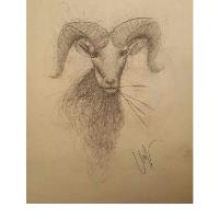 nilay-evcil-02