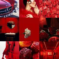 modada-temel-sanat-egitimi-moodboard-31