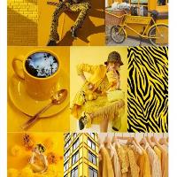modada-temel-sanat-egitimi-moodboard-37
