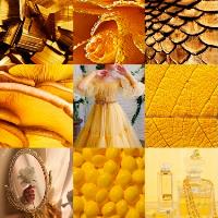 modada-temel-sanat-egitimi-moodboard-49