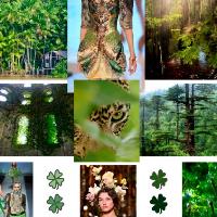 modada-temel-sanat-egitimi-moodboard-55