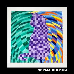 05-arm-seyma-bulduk