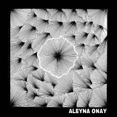 08-c-aleyna-onay