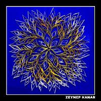 61-rol-zeynep-kanar