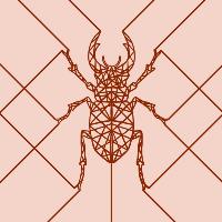 aleyna-bircan-temel-tasarim-illustrasyon-3