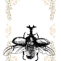 begum-ozerdem-temel-tasarim-illustrasyon-1