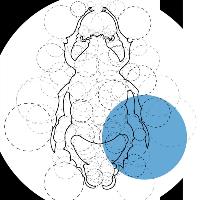 merve-ebru-ergin-temel-tasarim-illustrasyon-03