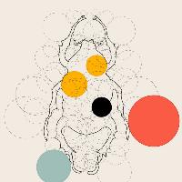 merve-ebru-ergin-temel-tasarim-illustrasyon-11