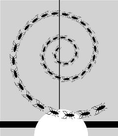 merve-ebru-ergin-temel-tasarim-illustrasyon-12