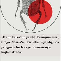 merve-ebru-ergin-temel-tasarim-post-tasarimi-30