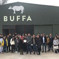 buffapeynir